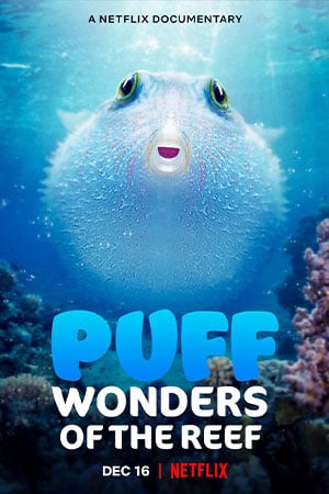 Puff Wonders of the Reef (2021) พัฟฟ์ มหัศจรรย์แห่งปะการัง